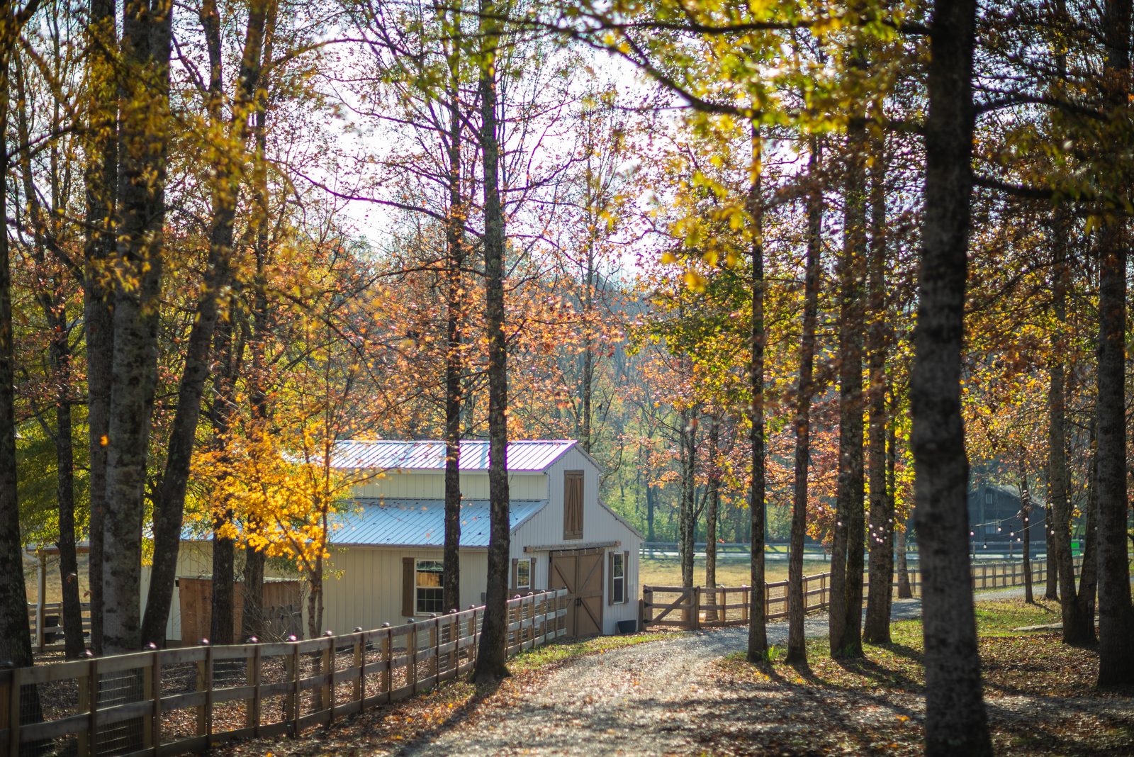 Fall morning at Ten Talents Farm